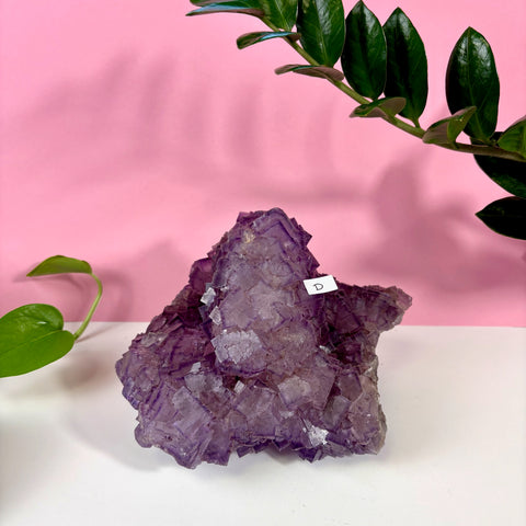 Statement Purple Turkish Fluorite - Kenna's Crystals
