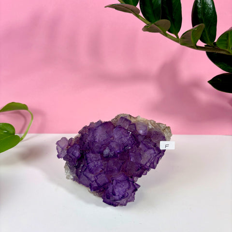 Statement Purple Turkish Fluorite - Kenna's Crystals