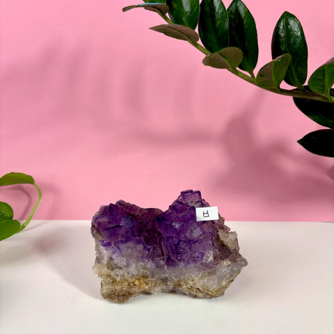 Statement Purple Turkish Fluorite - Kenna's Crystals