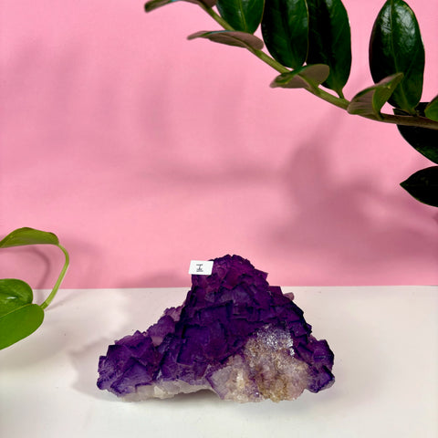 Statement Purple Turkish Fluorite - Kenna's Crystals
