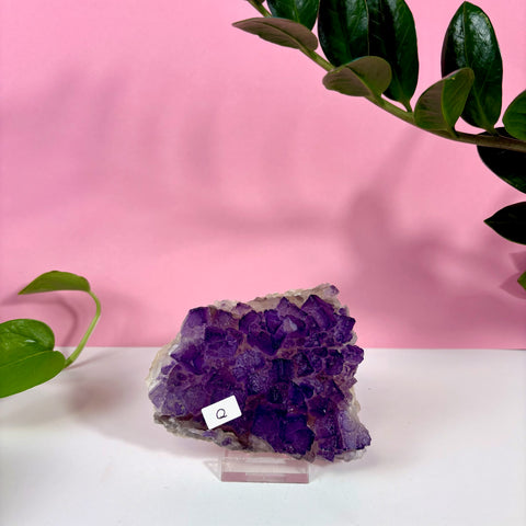 Statement Purple Turkish Fluorite - Kenna's Crystals