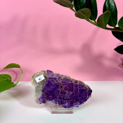 Statement Purple Turkish Fluorite - Kenna's Crystals
