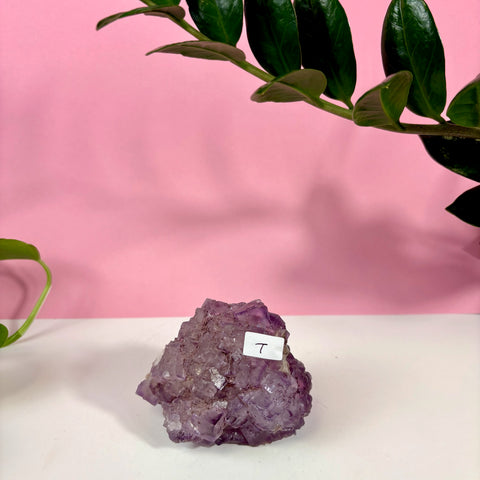 Statement Purple Turkish Fluorite - Kenna's Crystals