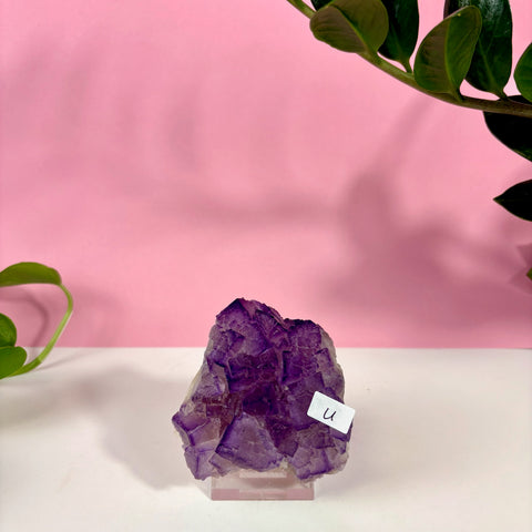 Statement Purple Turkish Fluorite - Kenna's Crystals