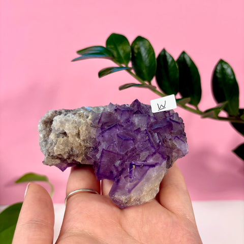 Statement Purple Turkish Fluorite - Kenna's Crystals