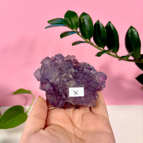 Statement Purple Turkish Fluorite - Kenna's Crystals