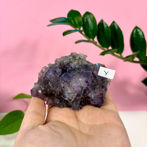 Statement Purple Turkish Fluorite - Kenna's Crystals