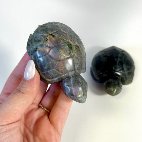 Sunset Labradorite Turtle 111 7 - Kenna's Crystals from TikTok
