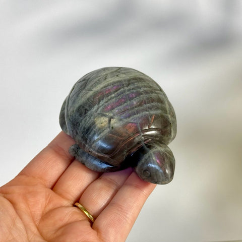 Sunset Labradorite Turtle 122 8 - Kenna's Crystals from TikTok