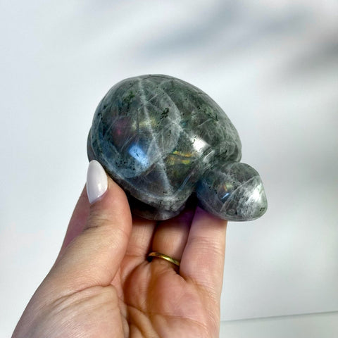 Sunset Labradorite Turtle 144 9 - Kenna's Crystals from TikTok