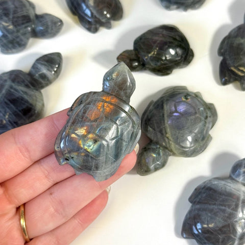 Sunset Labradorite Turtle 33 1 - Kenna's Crystals from TikTok