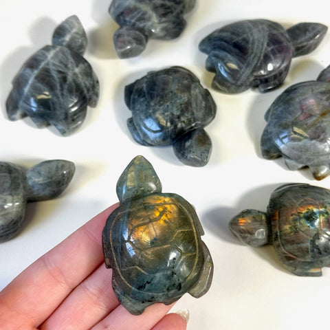 Sunset Labradorite Turtle 44 2 - Kenna's Crystals from TikTok