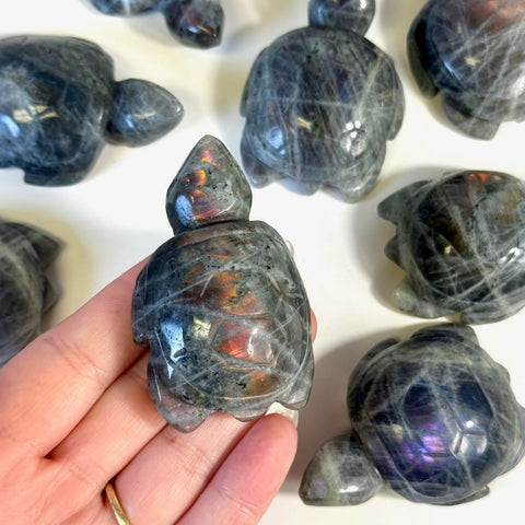 Sunset Labradorite Turtle 55 3 - Kenna's Crystals from TikTok