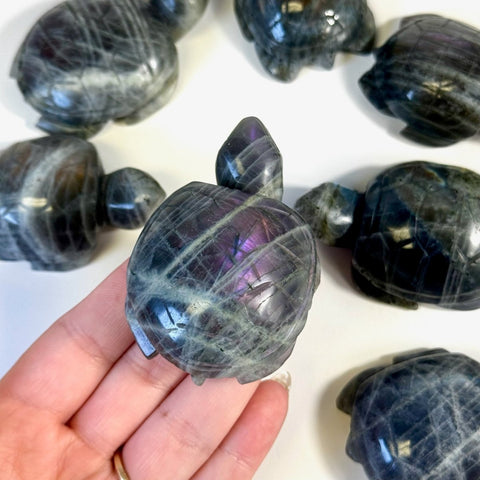 Sunset Labradorite Turtle 66 4 - Kenna's Crystals from TikTok