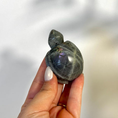 Sunset Labradorite Turtle 77 5 - Kenna's Crystals from TikTok