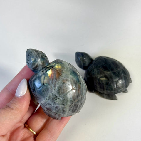 Sunset Labradorite Turtle 88 6 - Kenna's Crystals from TikTok