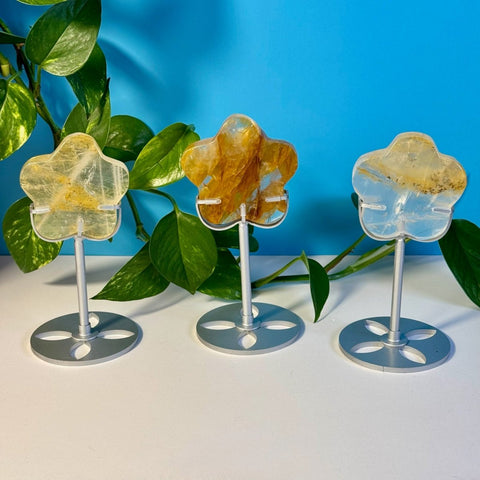 Top Quality Golden Healer Flower On Stand 66 1 - Kenna's Crystals from TikTok