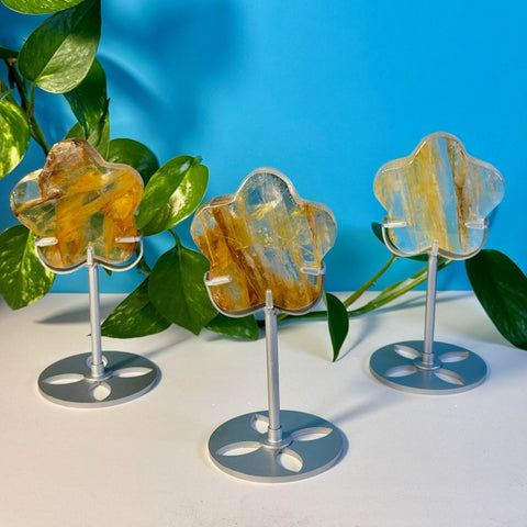 Top Quality Golden Healer Flower On Stand 77 2 - Kenna's Crystals from TikTok