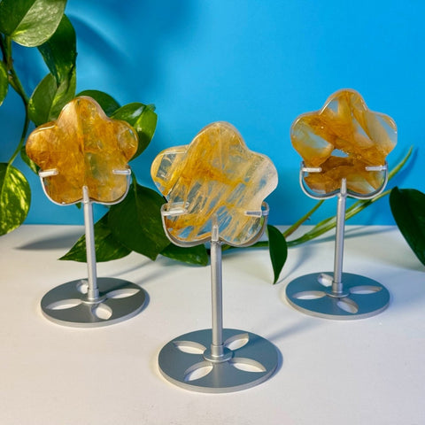 Top Quality Golden Healer Flower On Stand 88 4 - Kenna's Crystals from TikTok