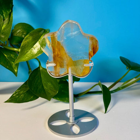 Top Quality Golden Healer Flower On Stand 99 3 - Kenna's Crystals from TikTok
