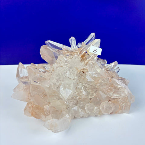 Cluster of clear Himalayan quartz crystals with light peach hues and sharp, pointed terminations on a white surface.