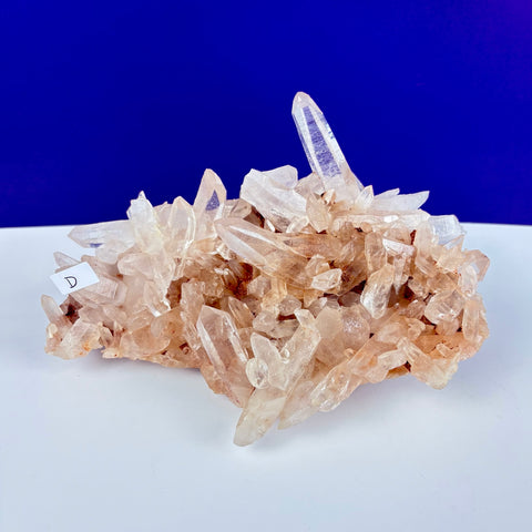 Cluster of raw Himalayan quartz crystals with translucent points and warm, earthy iron-stained base on a white surface.