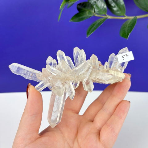 Hand holding a clear Himalayan quartz crystal cluster with sharp, transparent points against a blue background.
