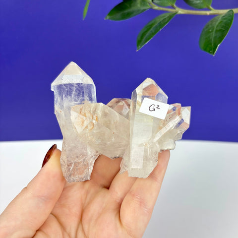 Hand holding a clear Himalayan quartz crystal cluster with sharp points against a blue and white background.