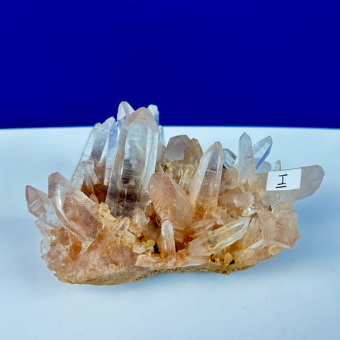 Cluster of clear, pointed Himalayan quartz crystals with a warm, tan-colored mineral base against a blue background.
