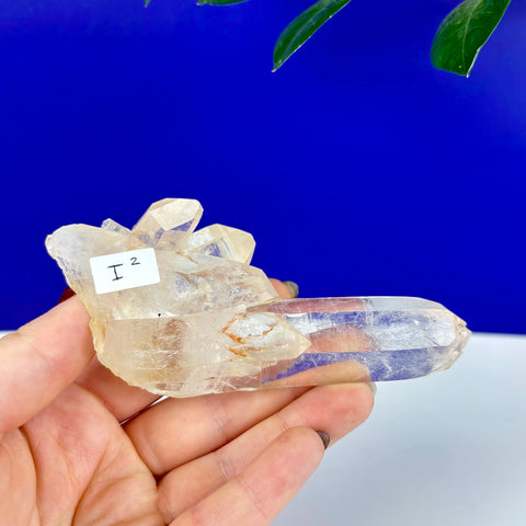 Hand holding a clear Himalayan quartz crystal cluster with a long, pointed termination against a blue background.
