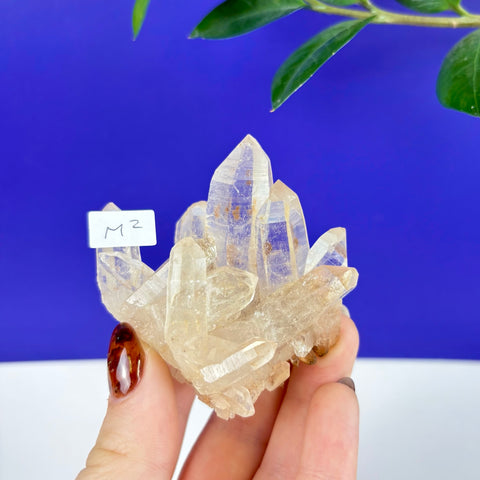 Hand holding a clear Himalayan quartz crystal cluster with sharp points against a blue background.