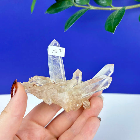 Clear Himalayan quartz crystal cluster with sharp, transparent points held in a hand against a blue background.