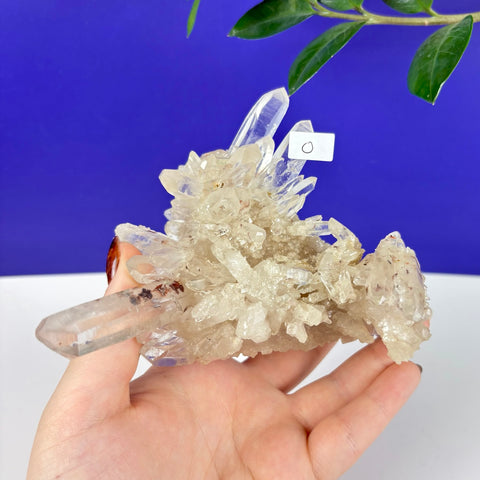 Hand holding a cluster of clear Himalayan quartz crystals with sharp points and natural mineral inclusions.