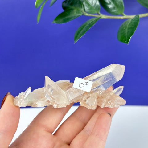 Handheld Underworld Himalayan quartz crystal cluster with clear, sharp points against a blue background.