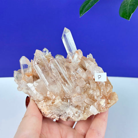 Handheld Underworld Himalayan quartz cluster featuring clear, pointed crystals with warm amber and iron-stained base.