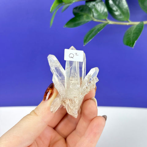 Hand holding a clear, pointed Himalayan quartz crystal cluster with a Q2 label against a blue background.