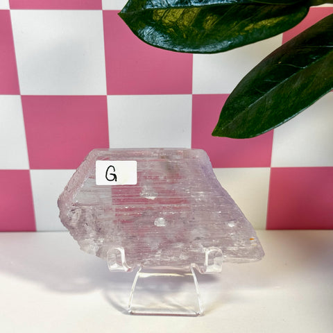 Vibrant pink Kunzite crystal, raw and unpolished, displayed on a clear stand with a green leaf and checkered background.