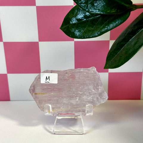 Vibrant pink Kunzite crystal, raw and unpolished, displayed on a clear stand with "M" label.