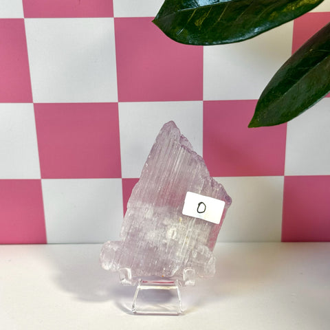 Vibrant pink Kunzite crystal variant O, rough cut with visible striations, displayed on a clear stand.
