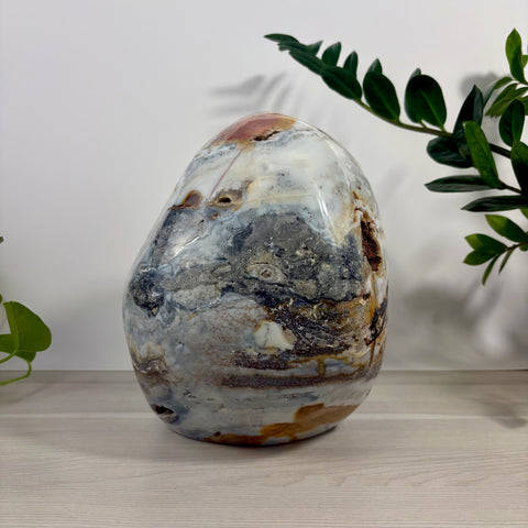 XL Sea Jasper Free Form - Kenna's Crystals
