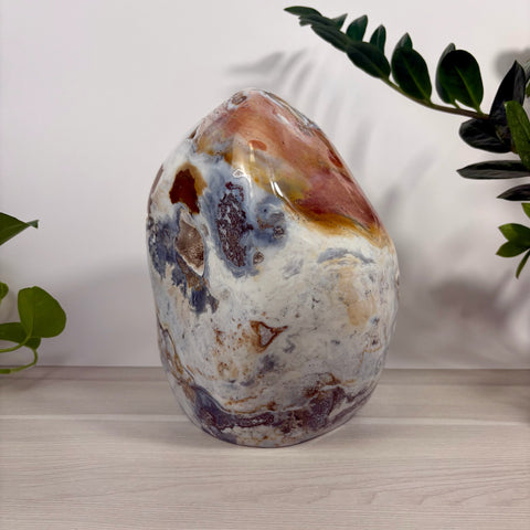 XL Sea Jasper Free Form - Kenna's Crystals