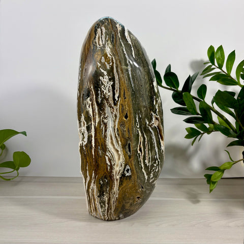XXXL Sea Jasper Free Form - Kenna's Crystals