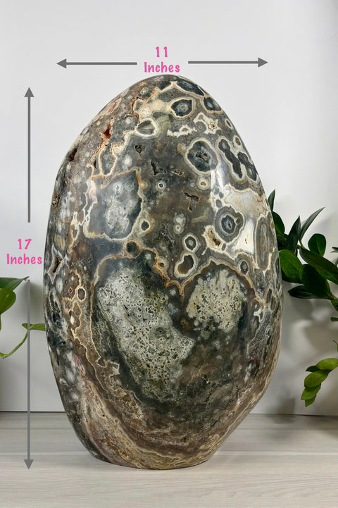 XXXL sea jasper free form stone with grey, brown, and white orbicular patterns, measuring 17 by 11 inches.
