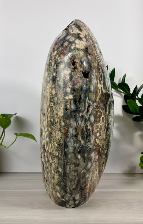 XXXL Sea Jasper Free Form - Kenna's Crystals