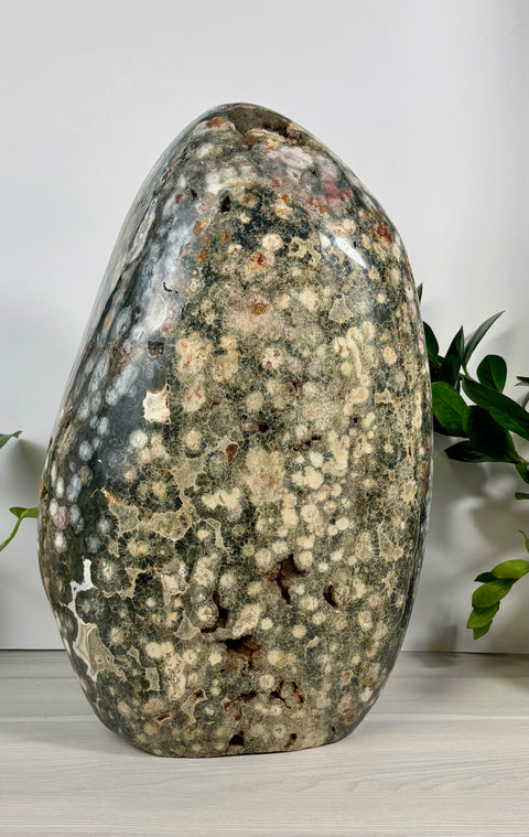 XXXL Sea Jasper Free Form - Kenna's Crystals