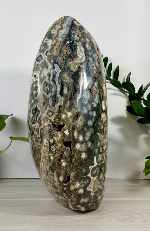 XXXL Sea Jasper Free Form - Kenna's Crystals