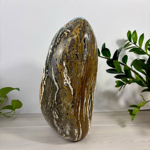 XXXL Sea Jasper Free Form - Kenna's Crystals
