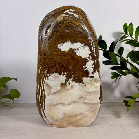 XXXL Sea Jasper free form stone with polished brown, tan, and white swirling patterns and a textured crystal druzy base.