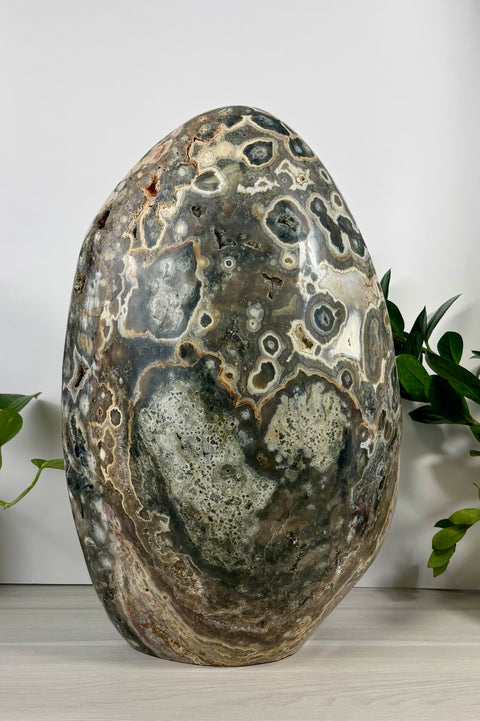 XXXL Sea Jasper Free Form - Kenna's Crystals