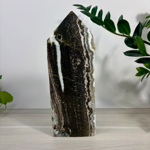 XXXL Sea Jasper tower with dark brown, black, and white banded patterns and a polished crystal point finish.